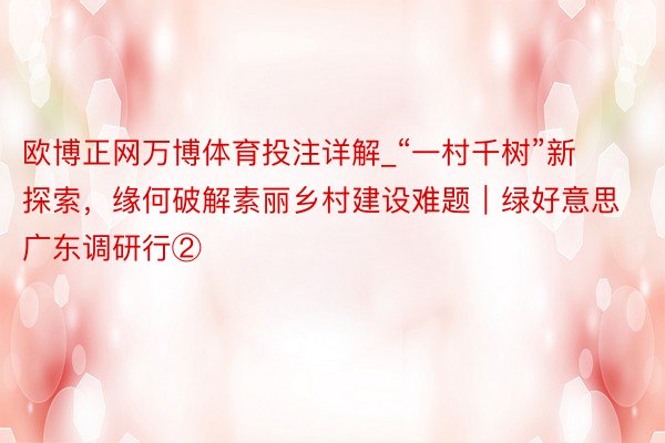 欧博正网万博体育投注详解_“一村千树”新探索，缘何破解素丽乡村建设难题｜绿好意思广东调研行②