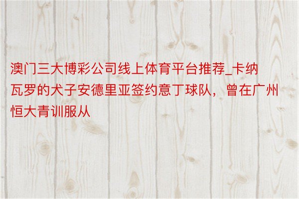澳门三大博彩公司线上体育平台推荐_卡纳瓦罗的犬子安德里亚签约意丁球队，曾在广州恒大青训服从